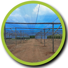 nox-timbers-product-poles nox-timbers-product-poles